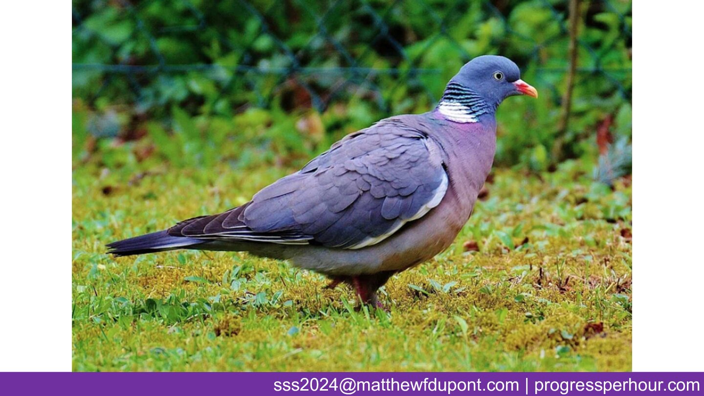 Slide 16 illustration