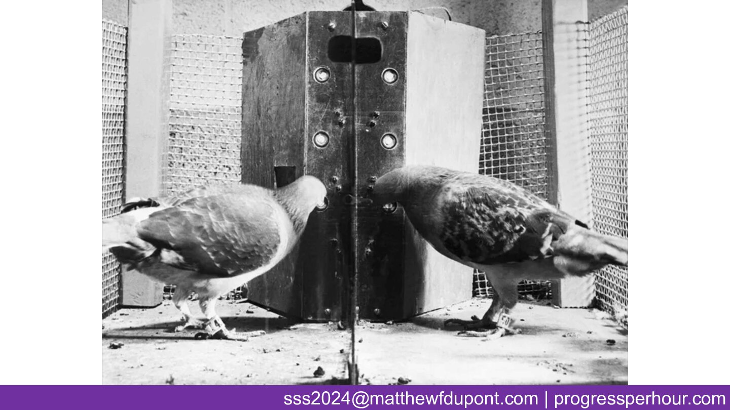 Slide 17 illustration